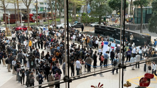 “养虾”技术指南：怎么养，要注意哪些风险