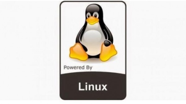 Linux Kernel 4.20首个维护版本更新发布 已稳定可广泛部署