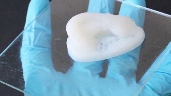 瑞士科学家打造出纤维素含量更高的热门3D打印材料