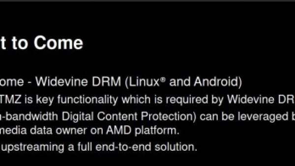 AMD为Linux带来AMDGPU TMZ可信内存区安全功能