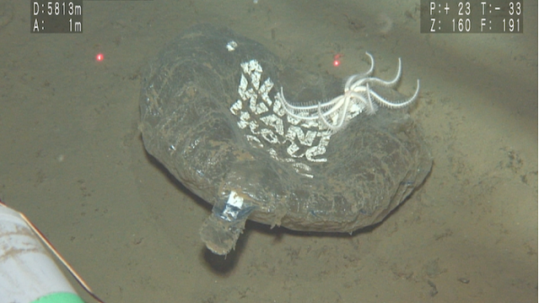 日本科学家发现北太平洋深海海底的残骸以一次性塑料为主