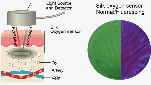 新型光敏“纹身”传感器可用于测量血氧水平