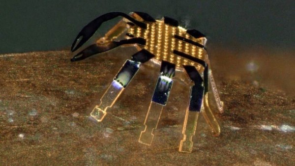 世界上最小的遥控行走机器人 使用形状记忆合金制造